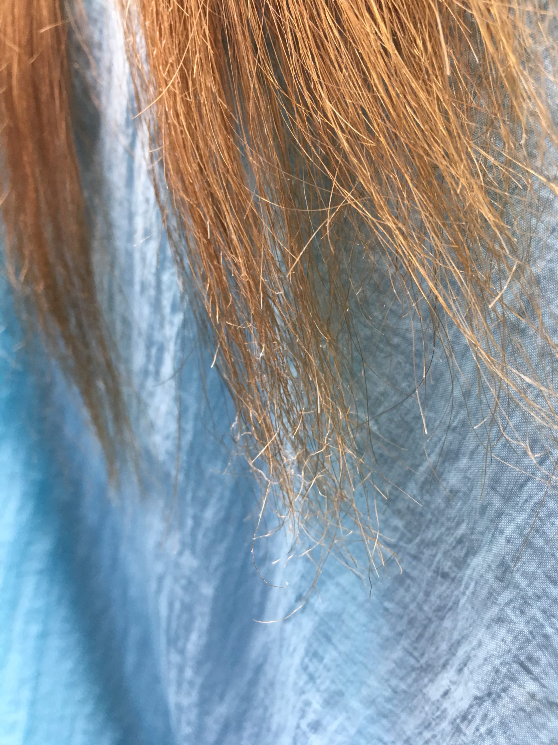 痛んだ毛先 毛先カット 枝毛カット 表面カット ブリーチ 手触りが良くなる 美容院 美容室 Facinatulu ファシナトゥール